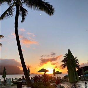 Meet your Posher, Rosalie